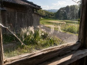 宮崎優のMBTI判断から見る性格特徴のイメージ