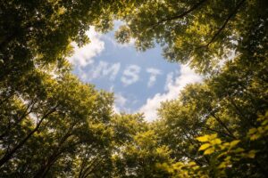 中西アルノのMBTIタイプは？炎上と性格から徹底考察のイメージ